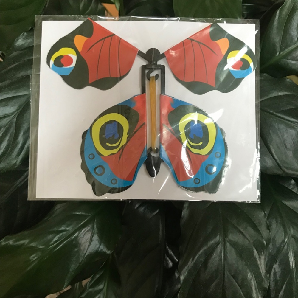 Butterfly Toy Wind and Let Go Book Gift Box and Card Insert Bright Red Black